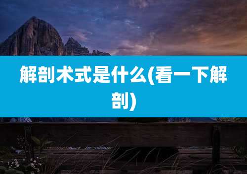 解剖术式是什么(看一下解剖)