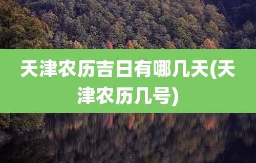 天津农历吉日有哪几天(天津农历几号)