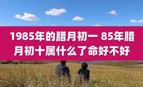 1985年的腊月初一 85年腊月初十属什么了命好不好