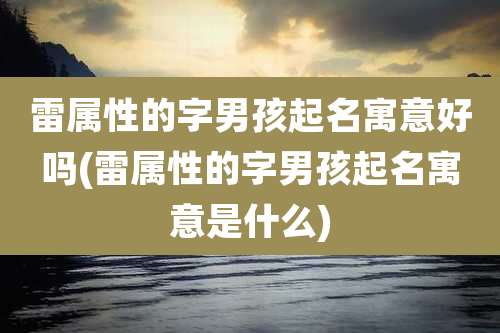 雷属性的字男孩起名寓意好吗(雷属性的字男孩起名寓意是什么)