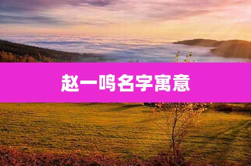 赵一鸣名字寓意