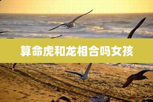 算命虎和龙相合吗女孩