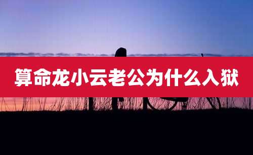 算命龙小云老公为什么入狱