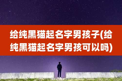 给纯黑猫起名字男孩子(给纯黑猫起名字男孩可以吗)