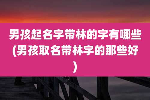 男孩起名字带林的字有哪些(男孩取名带林字的那些好)