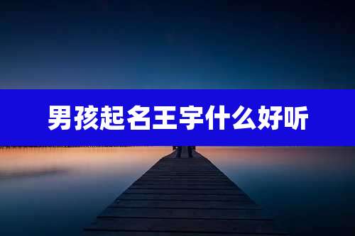 男孩起名王宇什么好听