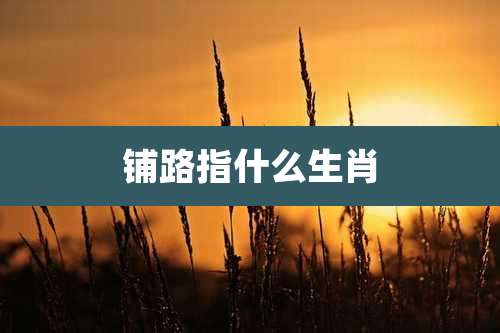 铺路指什么生肖