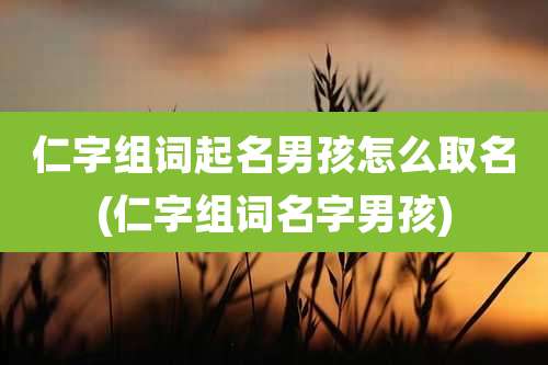 仁字组词起名男孩怎么取名(仁字组词名字男孩)