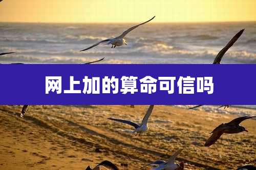 网上加的算命可信吗