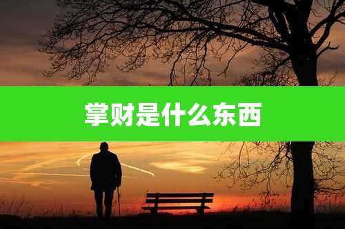 掌财是什么东西