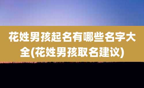 花姓男孩起名有哪些名字大全(花姓男孩取名建议)