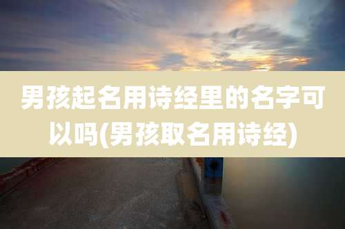男孩起名用诗经里的名字可以吗(男孩取名用诗经)