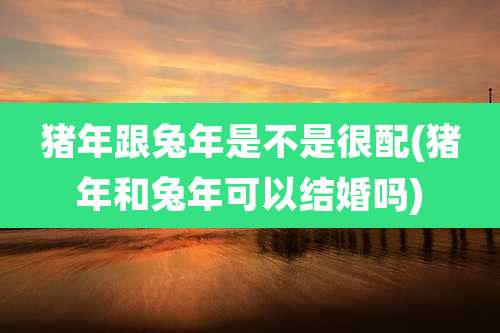 猪年跟兔年是不是很配(猪年和兔年可以结婚吗)