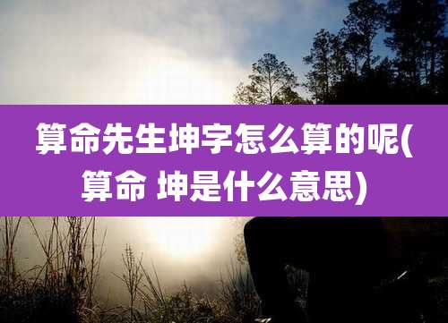 算命先生坤字怎么算的呢(算命 坤是什么意思)
