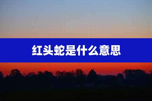 红头蛇是什么意思