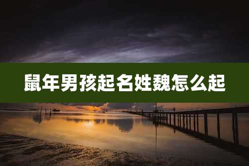 鼠年男孩起名姓魏怎么起