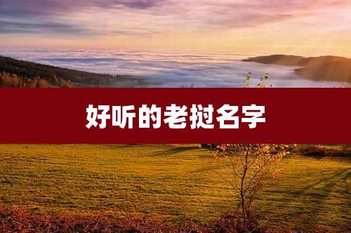 好听的老挝名字