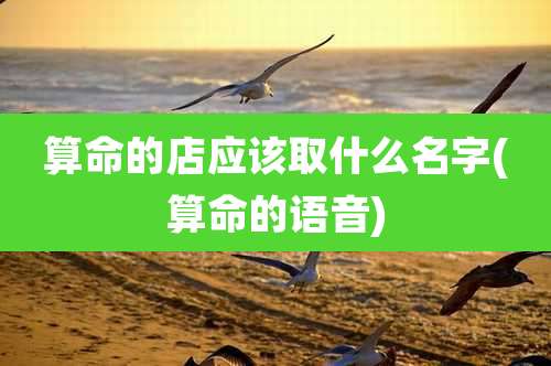 算命的店应该取什么名字(算命的语音)