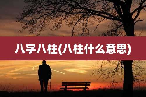 八字八柱(八柱什么意思)