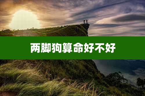 两脚狗算命好不好