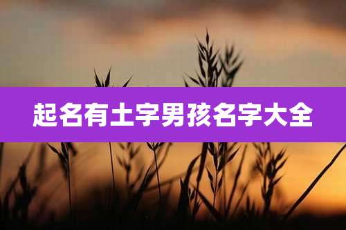 起名有土字男孩名字大全