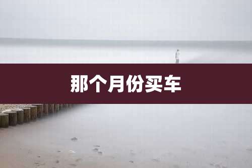 那个月份买车