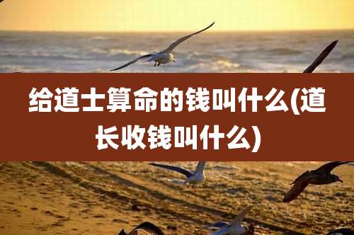 给道士算命的钱叫什么(道长收钱叫什么)