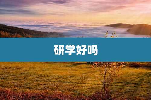 研学好吗