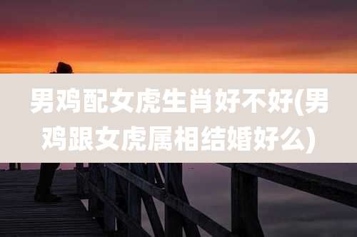 男鸡配女虎生肖好不好(男鸡跟女虎属相结婚好么)