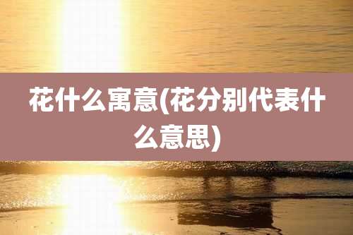 花什么寓意(花分别代表什么意思)