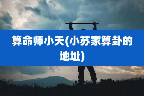 算命师小天(小苏家算卦的地址)