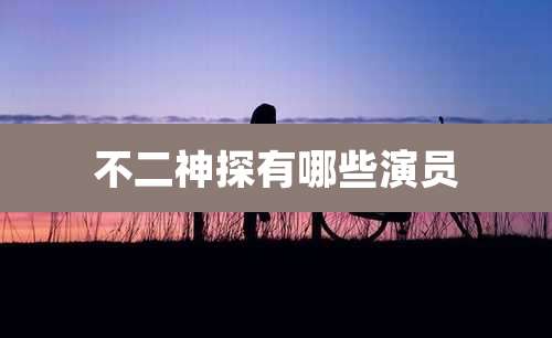 不二神探有哪些演员