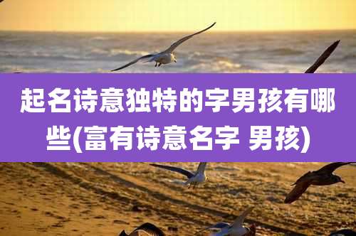 起名诗意独特的字男孩有哪些(富有诗意名字 男孩)