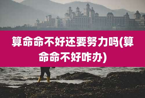 算命命不好还要努力吗(算命命不好咋办)