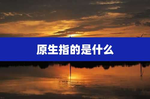 原生指的是什么