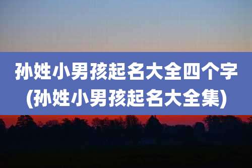 孙姓小男孩起名大全四个字(孙姓小男孩起名大全集)
