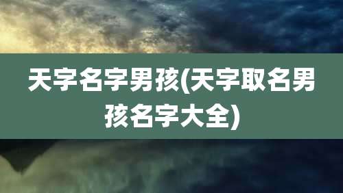 天字名字男孩(天字取名男孩名字大全)