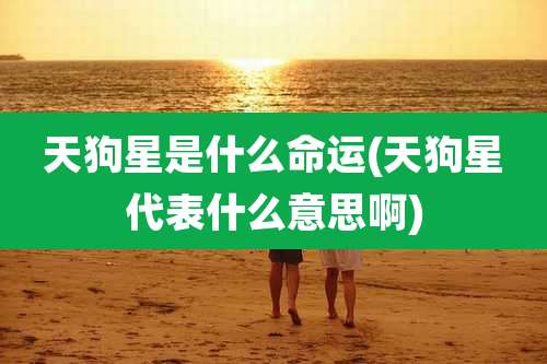 天狗星是什么命运(天狗星代表什么意思啊)