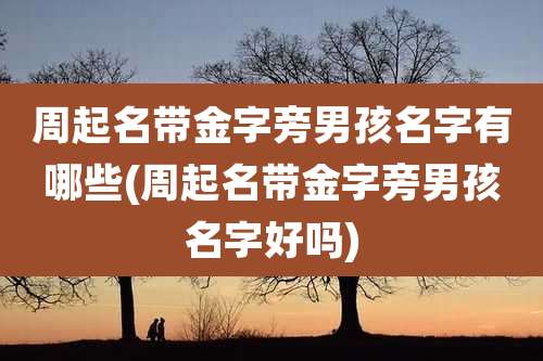 周起名带金字旁男孩名字有哪些(周起名带金字旁男孩名字好吗)