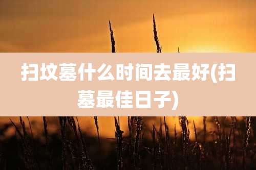 扫坟墓什么时间去最好(扫墓最佳日子)