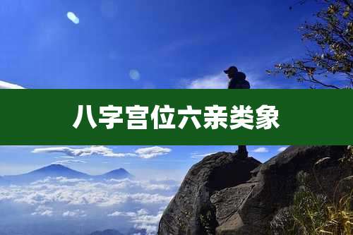 八字宫位六亲类象