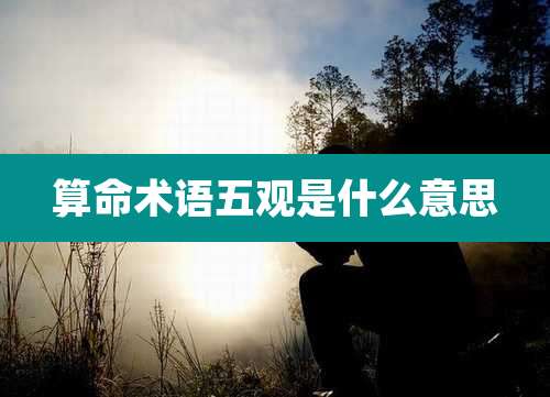 算命术语五观是什么意思