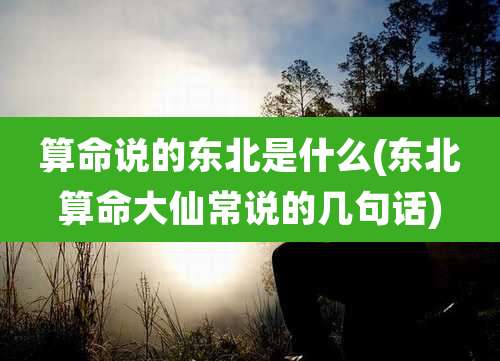 算命说的东北是什么(东北算命大仙常说的几句话)