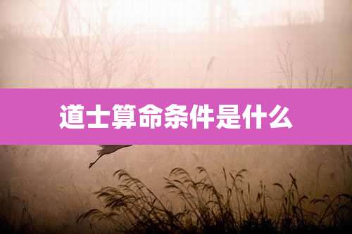 道士算命条件是什么