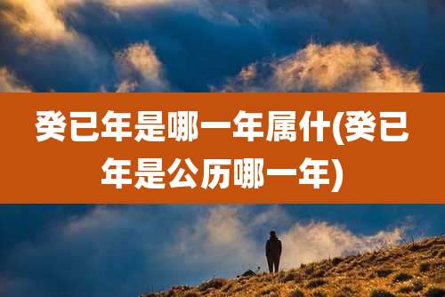 癸已年是哪一年属什(癸已年是公历哪一年)