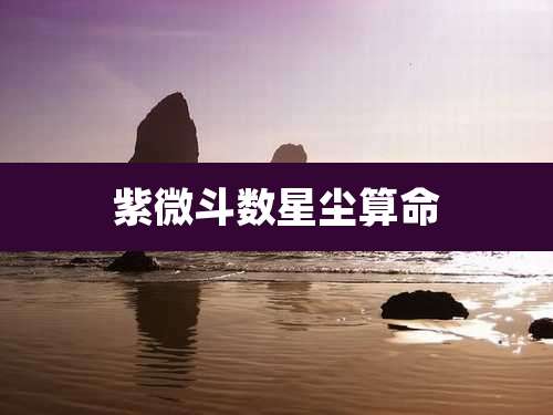 紫微斗数星尘算命