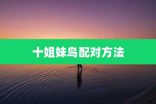 十姐妹鸟配对方法
