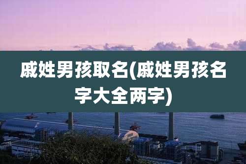 戚姓男孩取名(戚姓男孩名字大全两字)