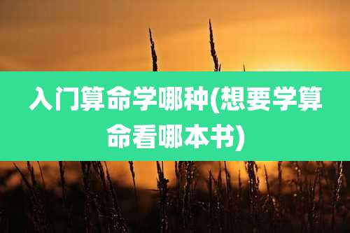 入门算命学哪种(想要学算命看哪本书)