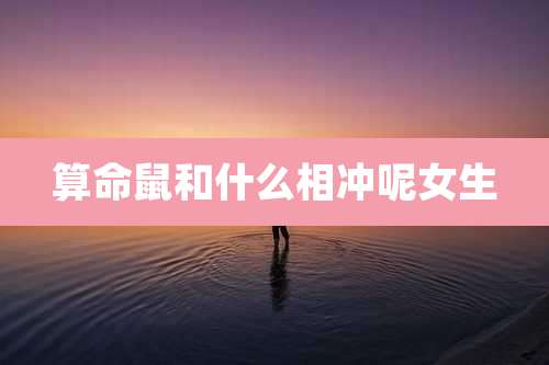 算命鼠和什么相冲呢女生